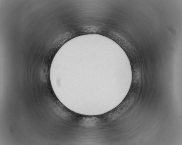 X0000112210414200909181558