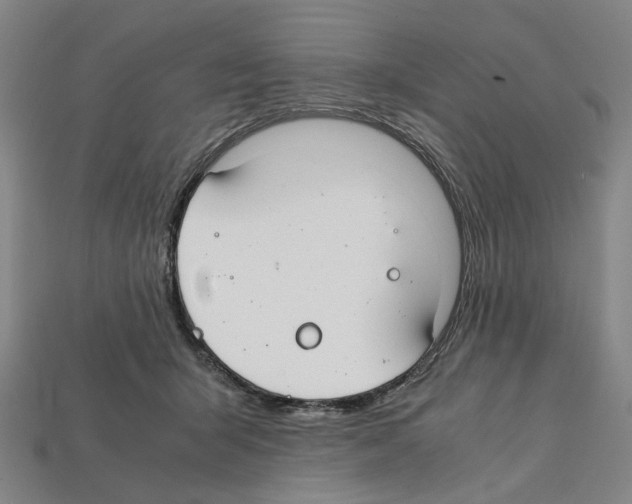 X0000112210415200909181558