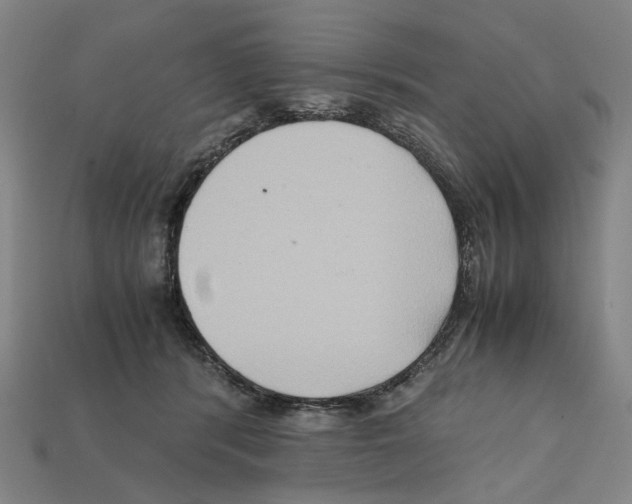 X0000112210416200909181558