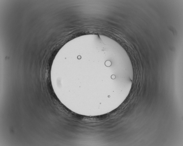 X0000112210417200909181558