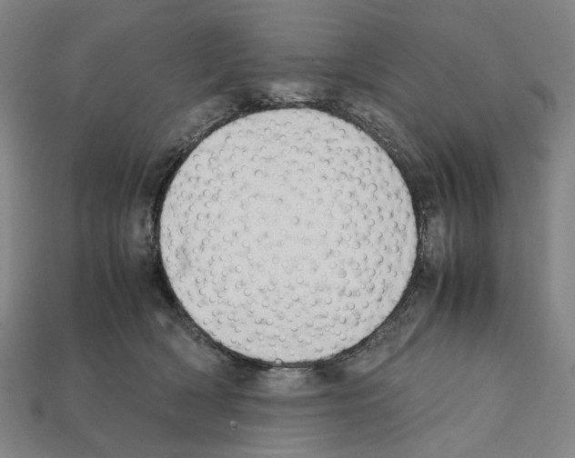X0000112210418200909181558
