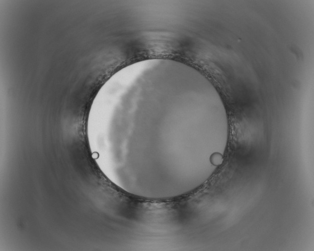 X0000112210419200909181558