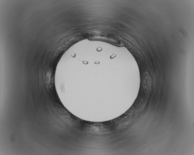 X0000112210420200909181557