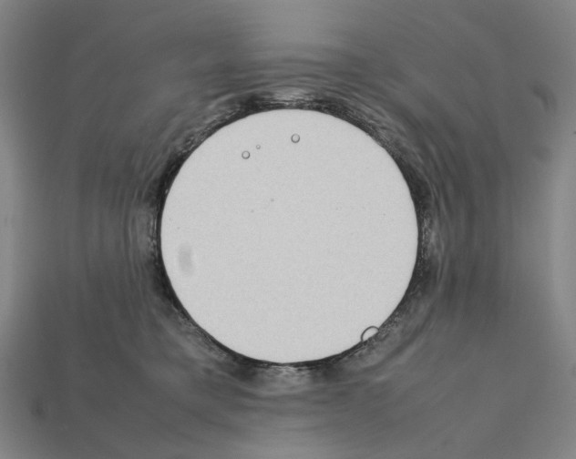 X0000112210421200909181557