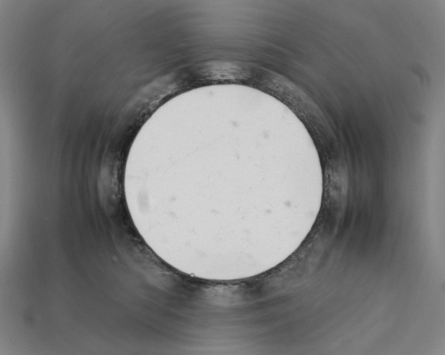 X0000112210422200909181557