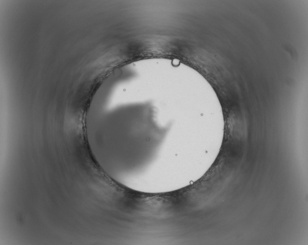 X0000112210423200909181557