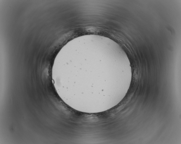 X0000112210424200909181557