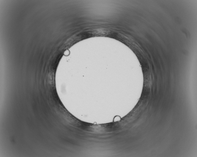 X0000112210425200909181557