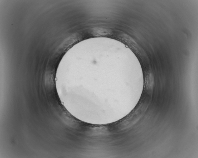 X0000112210426200909181557