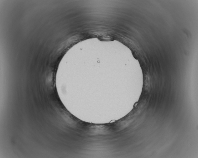 X0000112210428200909181557