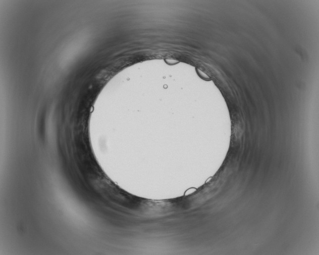 X0000112210429200909181557