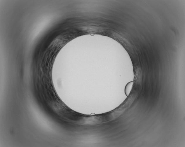 X0000112210430200909181557