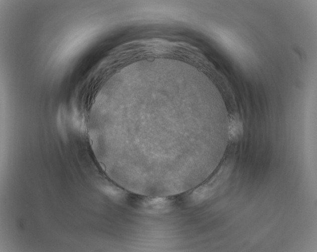 X0000112210431200909181557