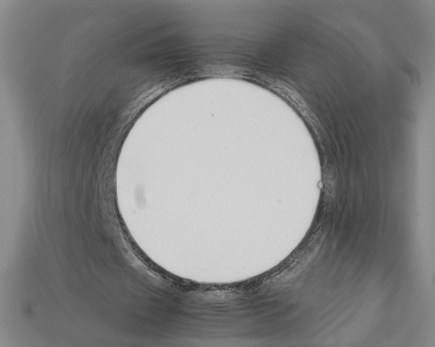 X0000112210433200909181557