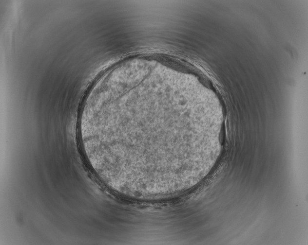 X0000112210434200909181557