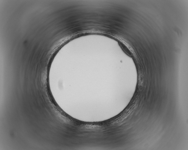 X0000112210437200909181557