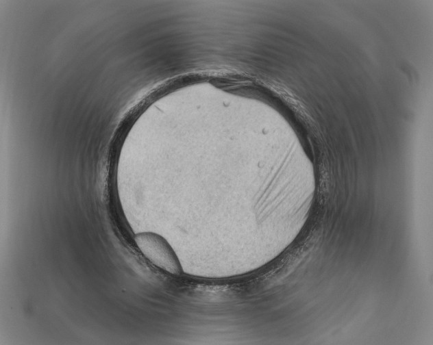 X0000112210440200909181557
