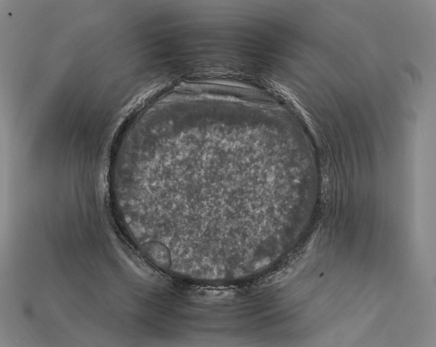 X0000112210443200909181557
