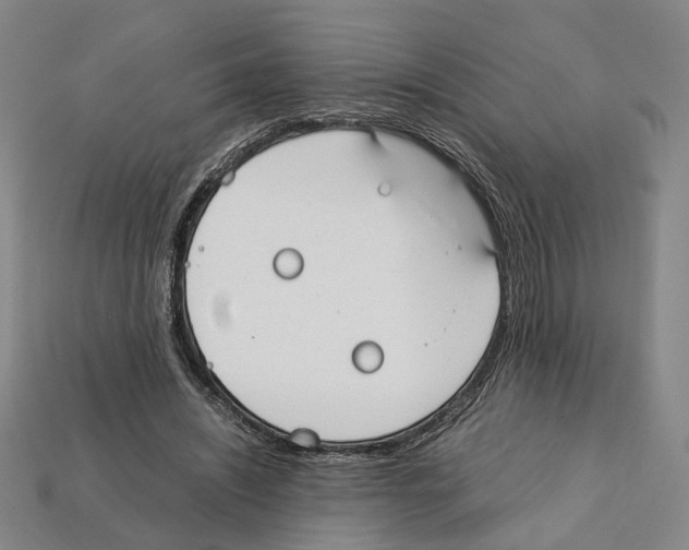 X0000112210444200909181557