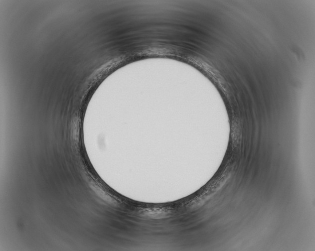 X0000112210445200909181557
