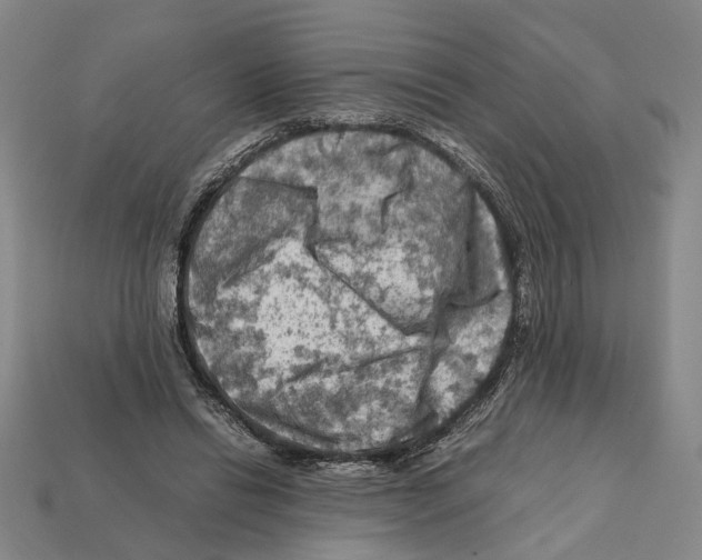 X0000112210446200909181557