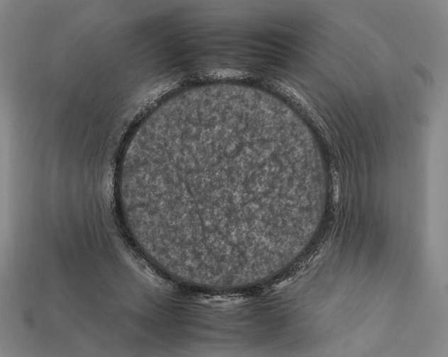 X0000112210447200909181557