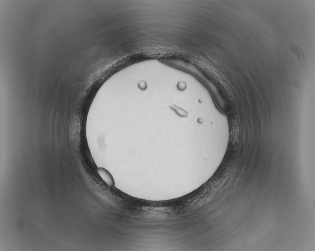 X0000112210448200909181557