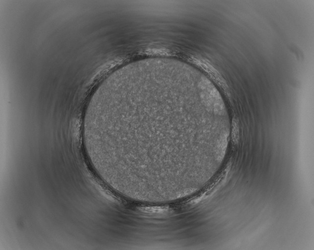 X0000112210449200909181557