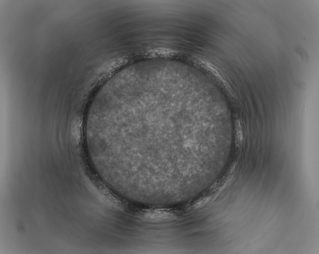 X0000112210451200909181557