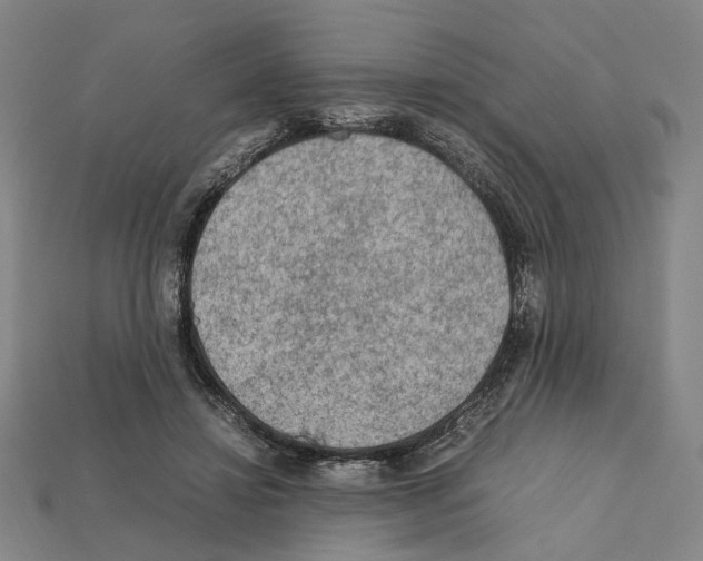 X0000112210452200909181557