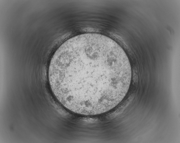 X0000112210453200909181557