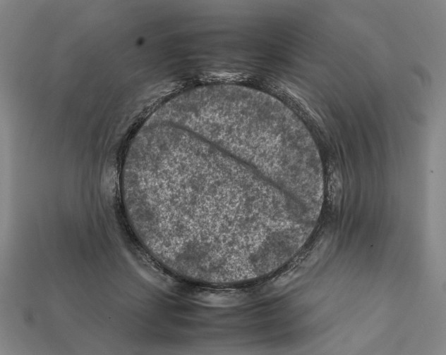 X0000112210459200909181557