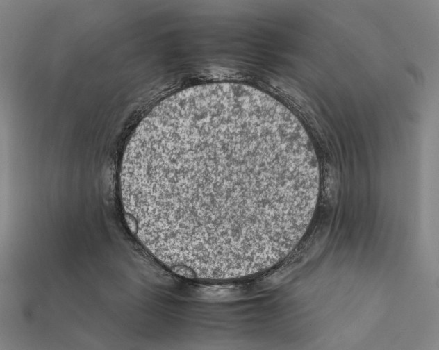 X0000112210461200909181557