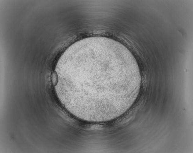 X0000112210462200909181557