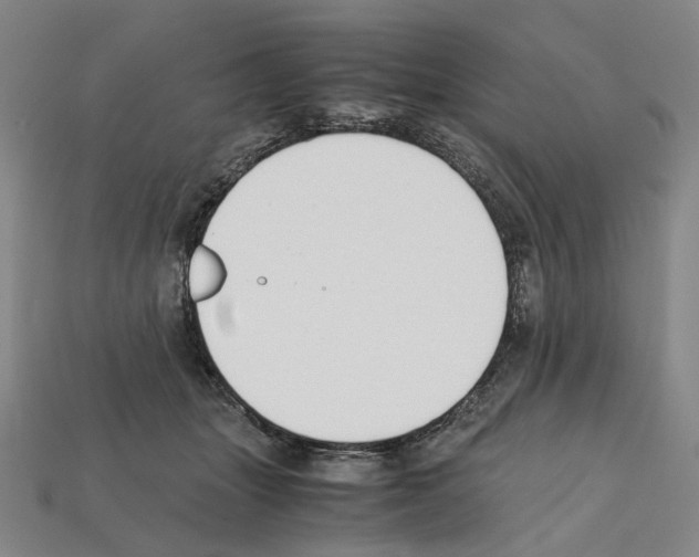 X0000112210463200909181557