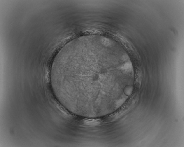 X0000112210465200909181557
