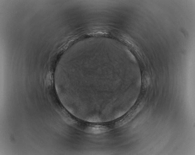 X0000112210467200909181557