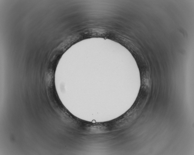 X0000112210468200909181557