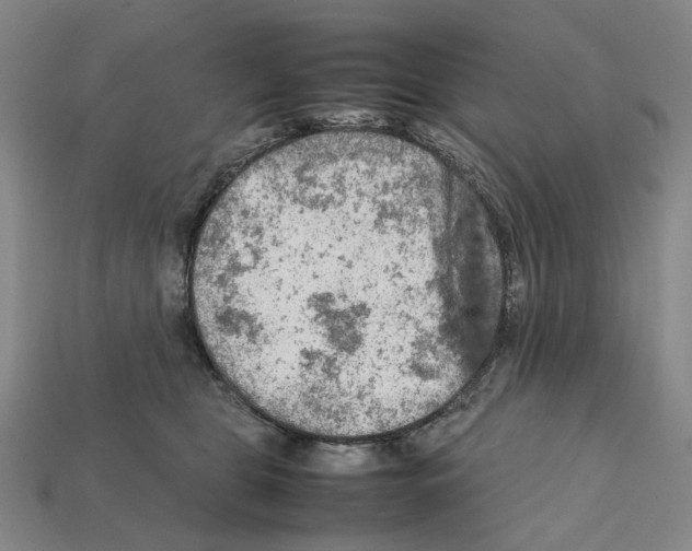X0000112210469200909181557