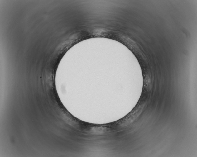 X0000112210470200909181557