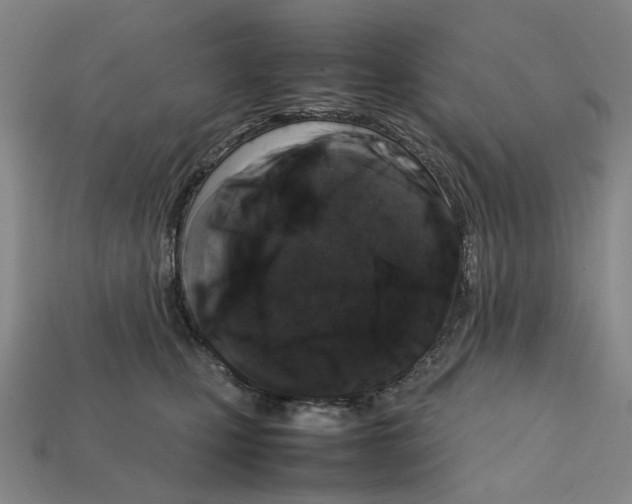 X0000112210471200909181557