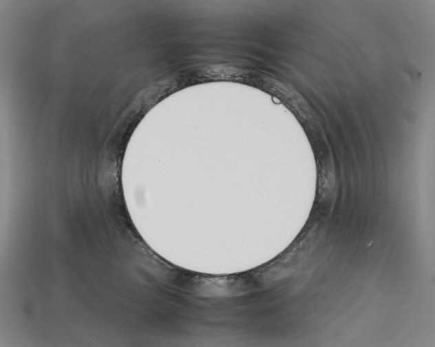 X0000112210473200909181557