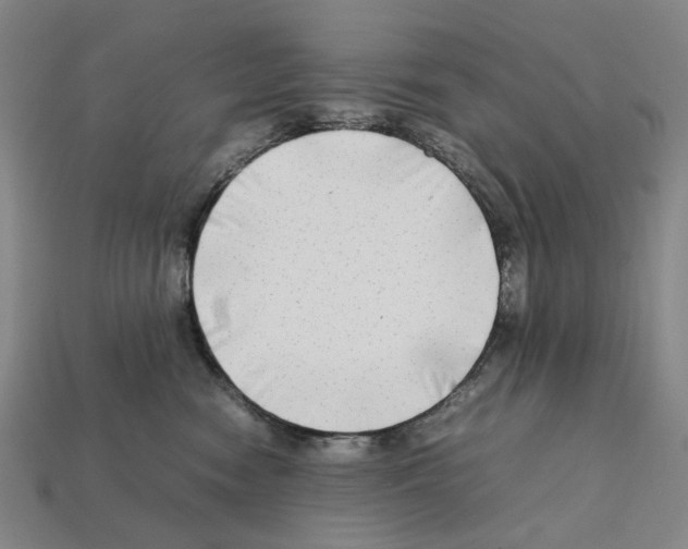 X0000112210474200909181557