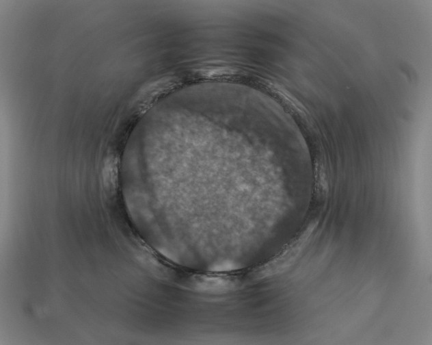 X0000112210475200909181557