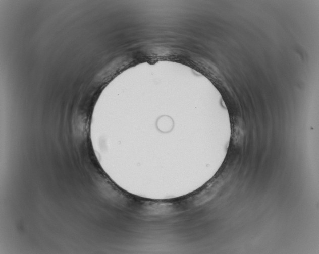 X0000112210476200909181557