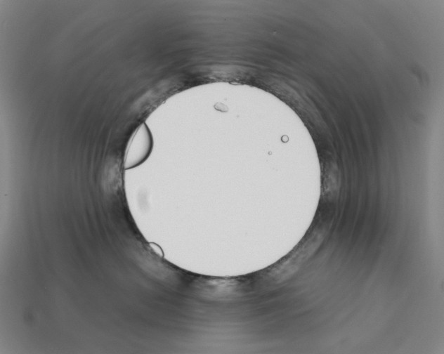 X0000112210478200909181557
