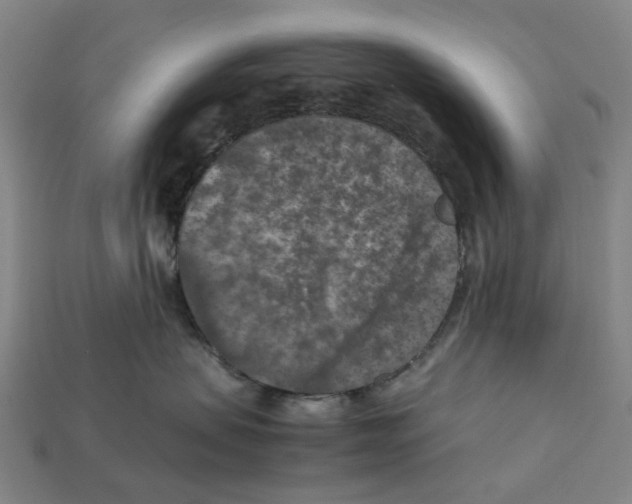 X0000112210479200909181557