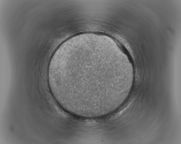 X0000112210481200909181557
