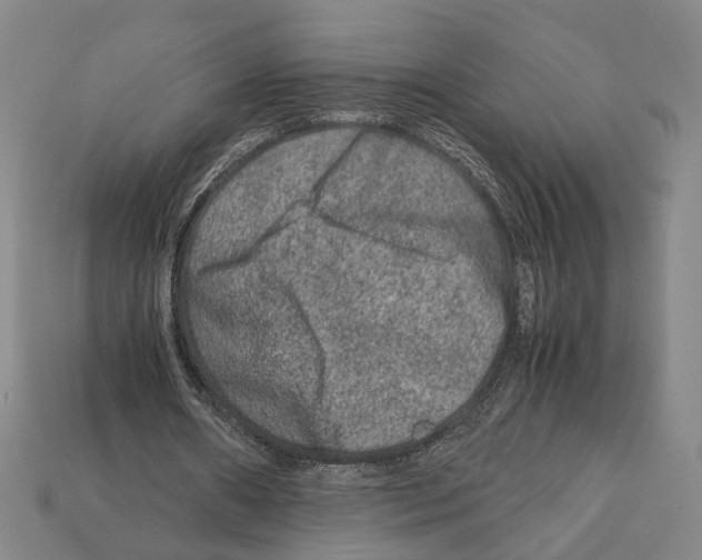 X0000112210482200909181557