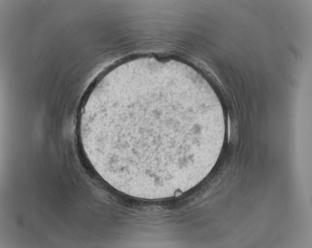 X0000112210483200909181557